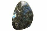 Flashy, Free-Standing Polished Labradorite - Madagascar #237863-1